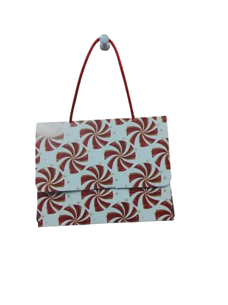 BOLSA REGALO MONEY CHICA