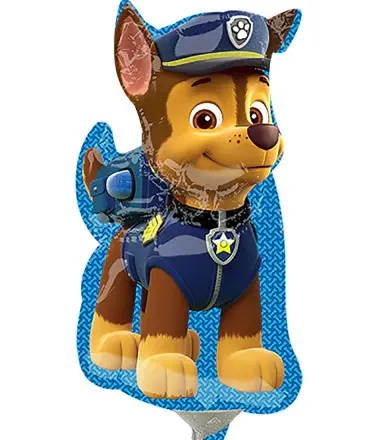MINI SHAPE CHASE PAW PATROL