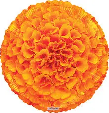 IMP12 FLOR DE CEMPASÙCHIL