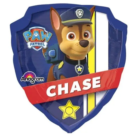 MINI SHAPE ESCUDO POW PATROL