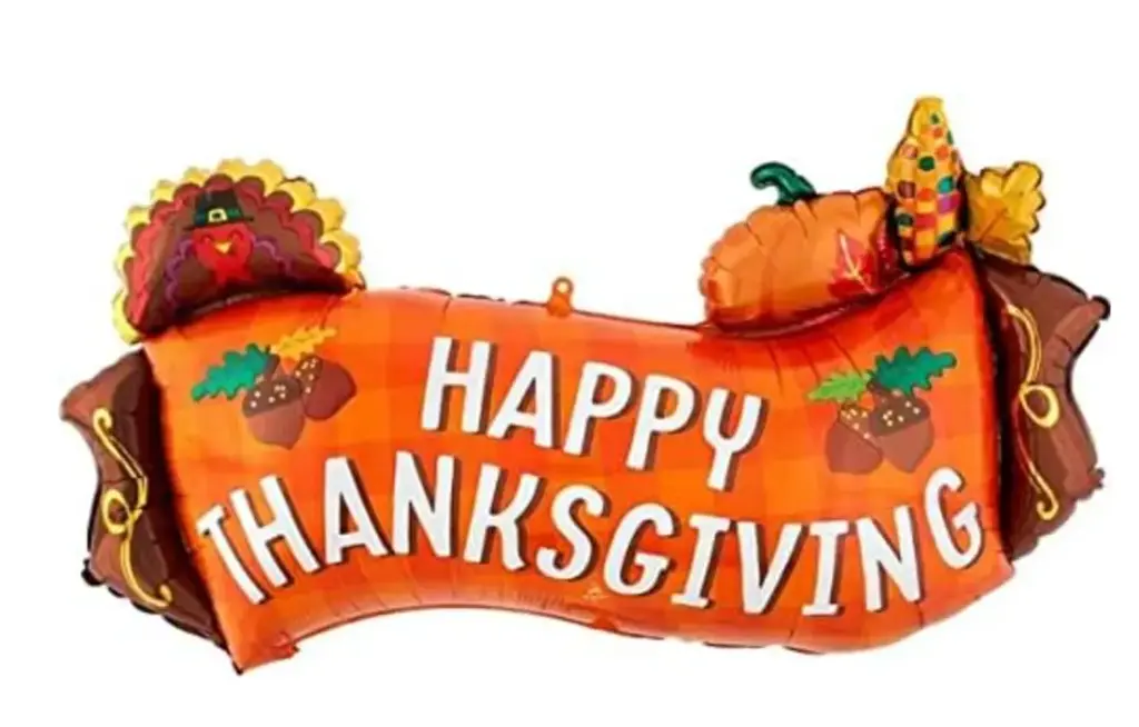 SUPER SHAPE HAPPY THANKSGIVING