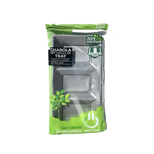 [573] CHAROLA PARTY IS ON RECTANGULAR PLATA C/3PZS