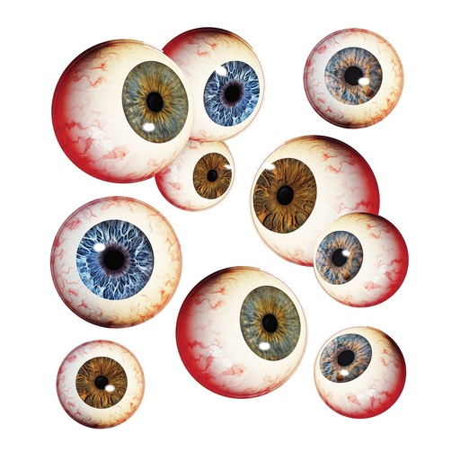 [2424] DECORACIÓN DE OJOS EN VENTANA