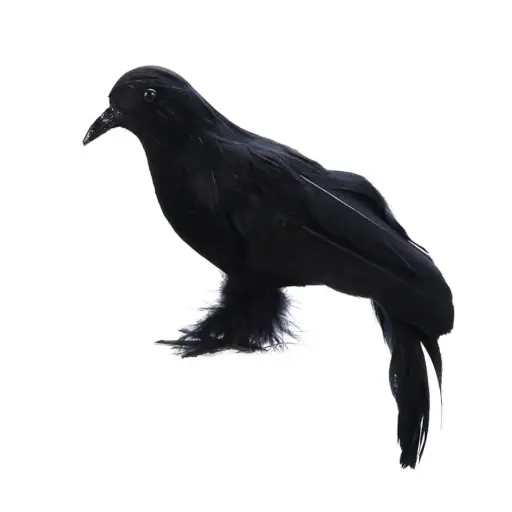 [60249] CUERVOS RAVENS 