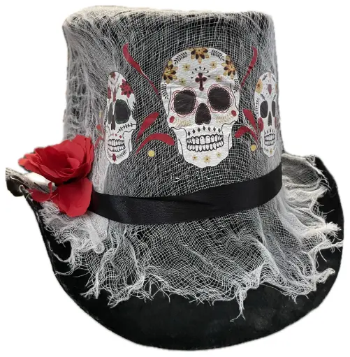 [2558] SOMBRERO CALABERA