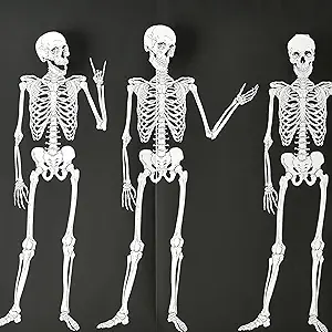 [2214] EMSAMBLE DE TOILE DE FOND DE CALABERAS