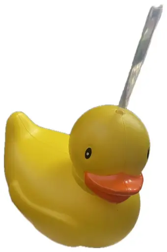 [0273] TERMO DE PATO 